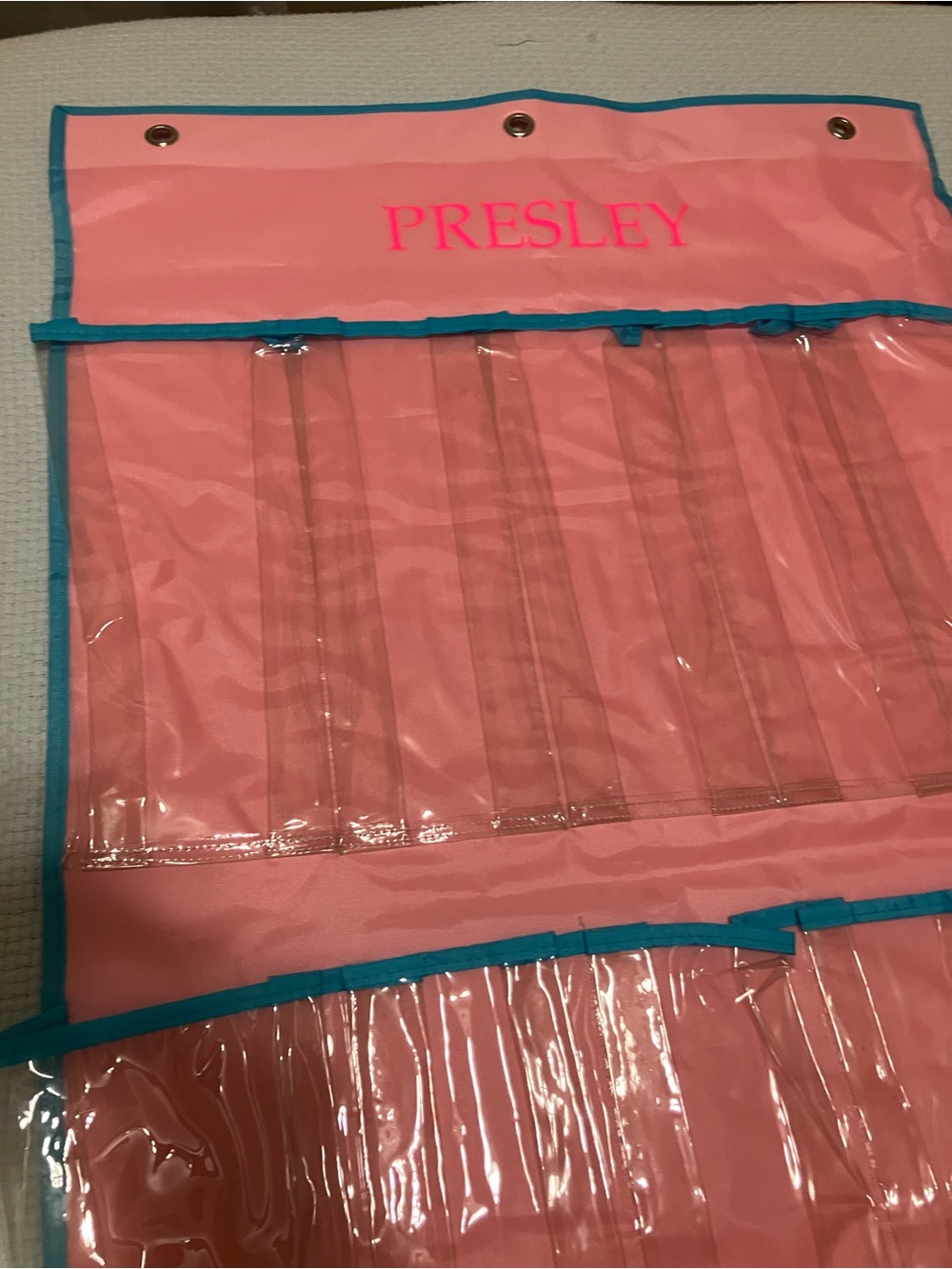 Personalized Pink Hanging Organizer with Teal Trim - PRESLEY